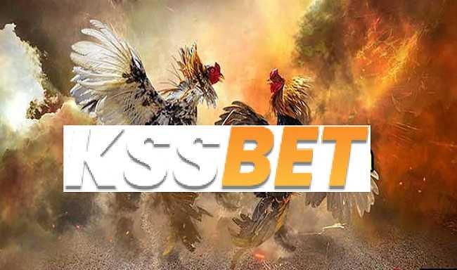 Kssbet Cock Fighting Tips At kssbet Always Win, You Should Know